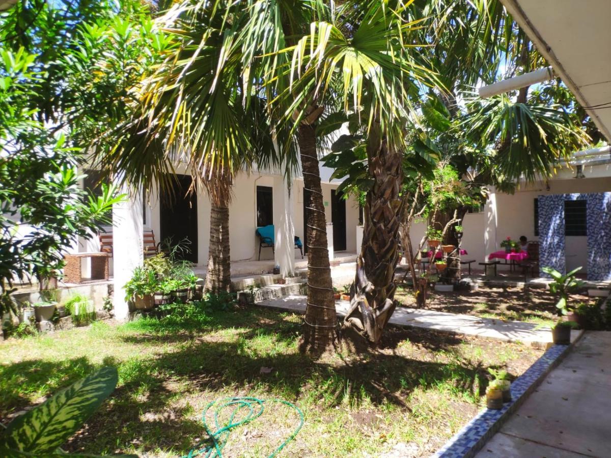 Bea Rooms And Studios Cozumel Zewnętrze zdjęcie