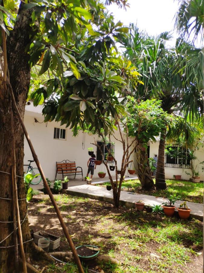 Bea Rooms And Studios Cozumel Zewnętrze zdjęcie