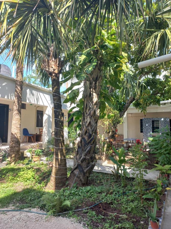 Bea Rooms And Studios Cozumel Zewnętrze zdjęcie