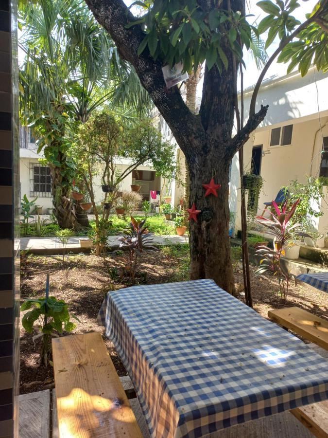 Bea Rooms And Studios Cozumel Zewnętrze zdjęcie